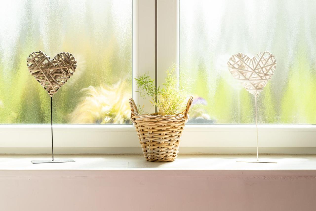 Studio Bienvenue Du Cote De Chez Nous Avec Jardin Privatif Wignehies Екстер'єр фото